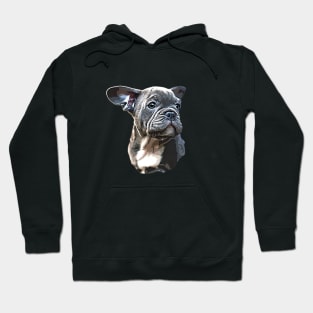 French Bulldog Blue Puppy So Cute! Hoodie